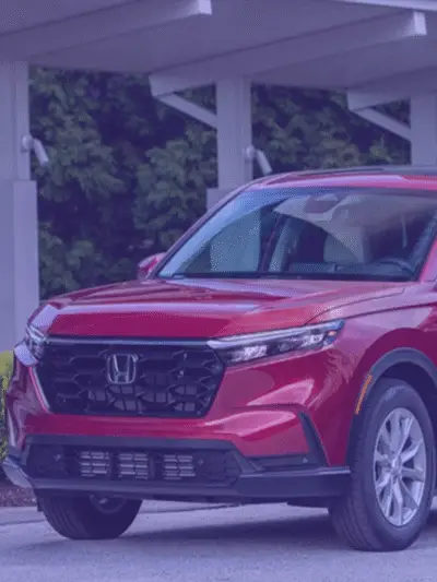 SUVS